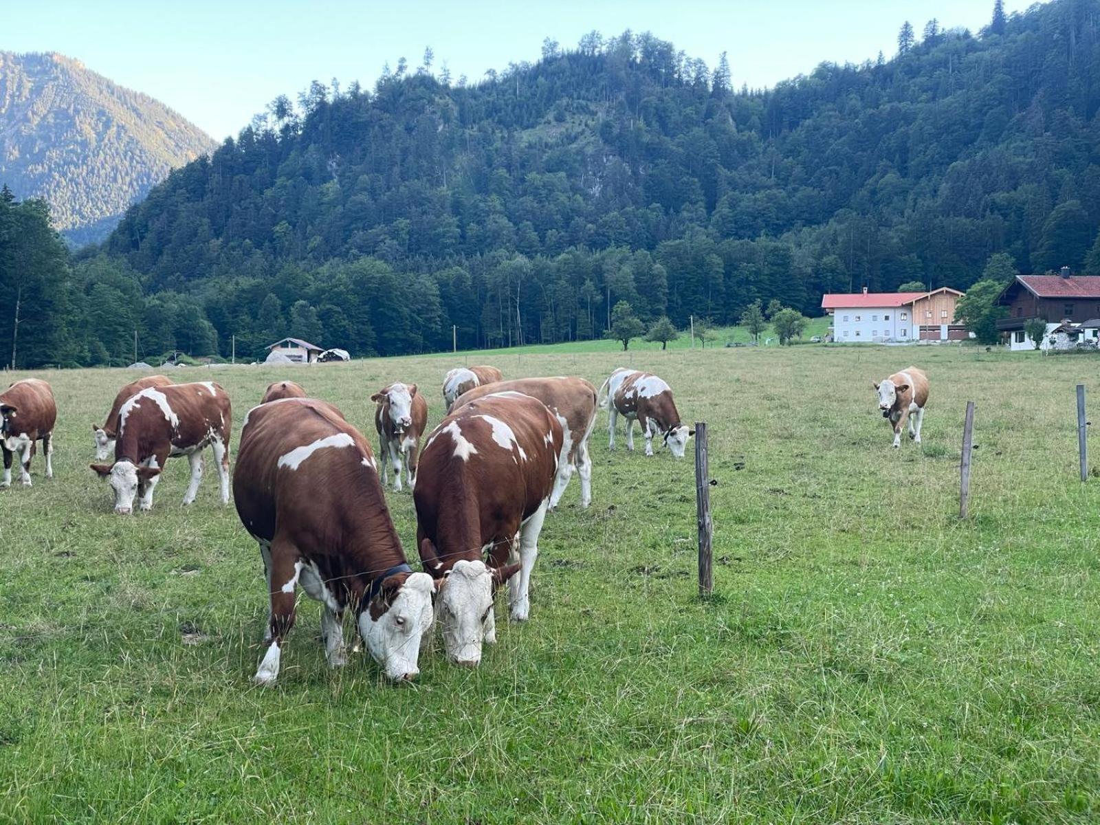 Ferienwohnungen Bergluft Aschau im Chiemgau Exterior foto